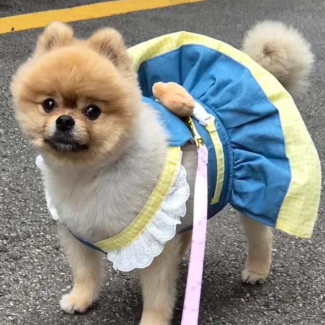 야호