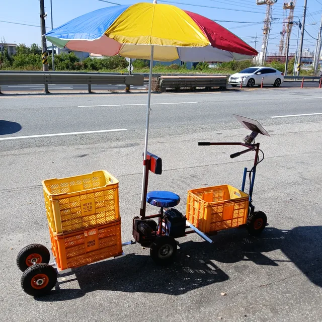 포도