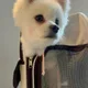 우리
