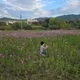 뚱뚱뚱
