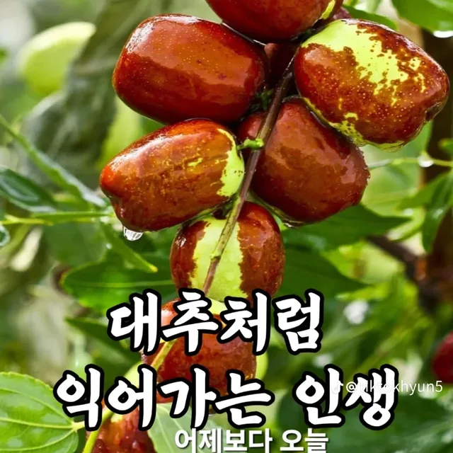 평온당근
