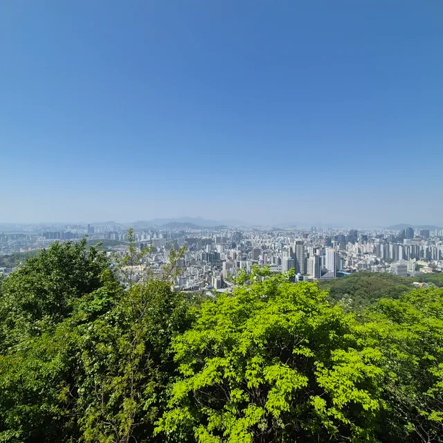 블루스카이