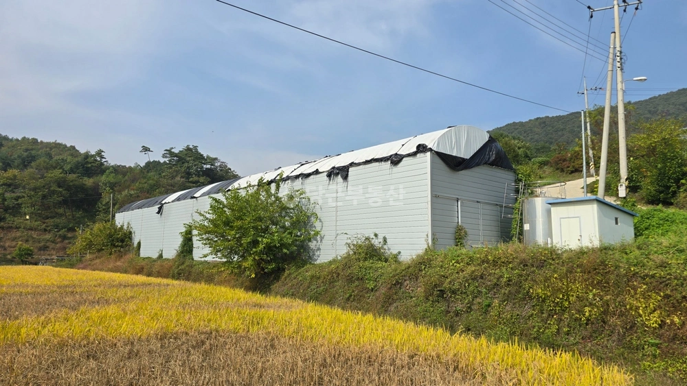 전북특별자치도 진안군 주천면 건물 사진 1