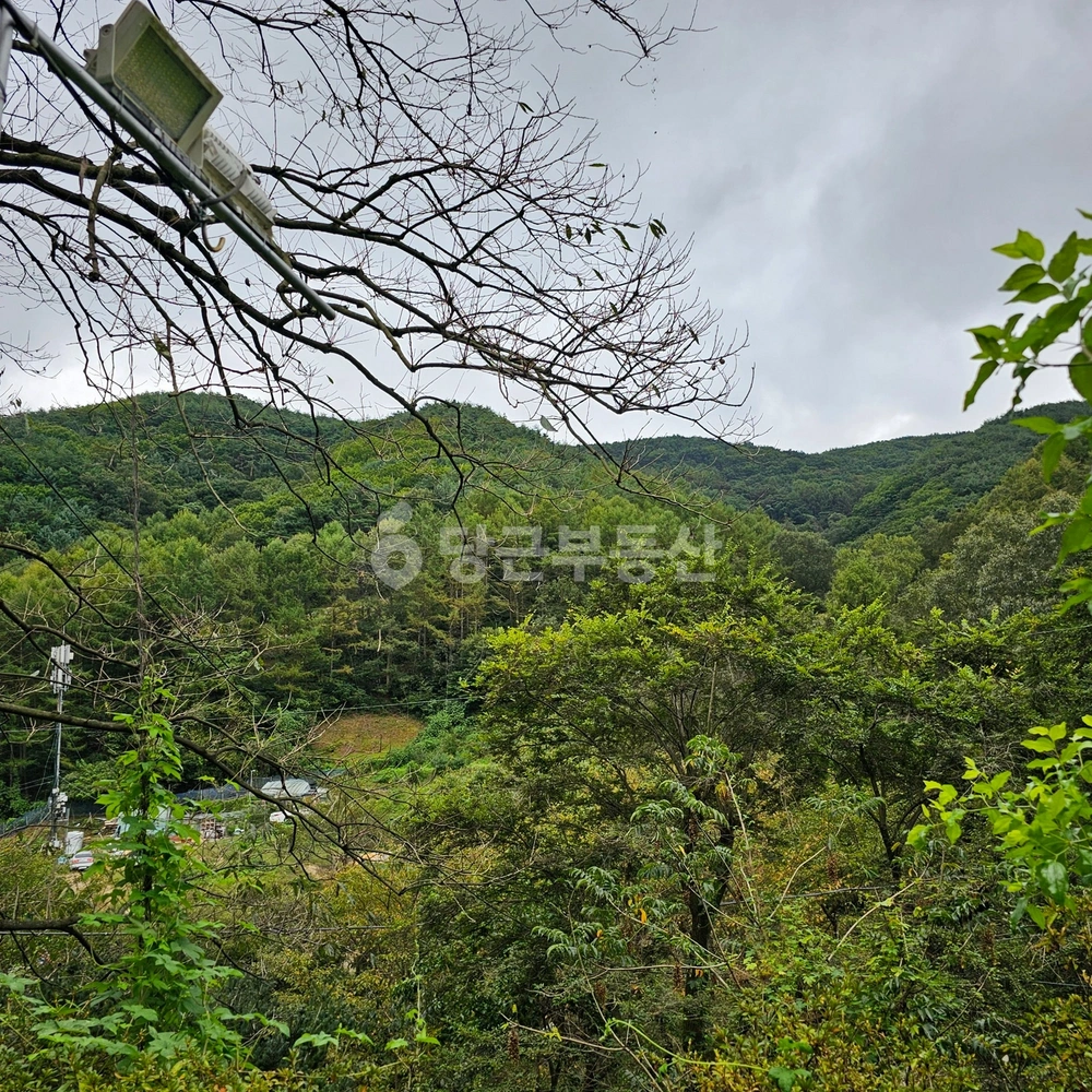 대구광역시 수성구 욱수동 토지 사진 1