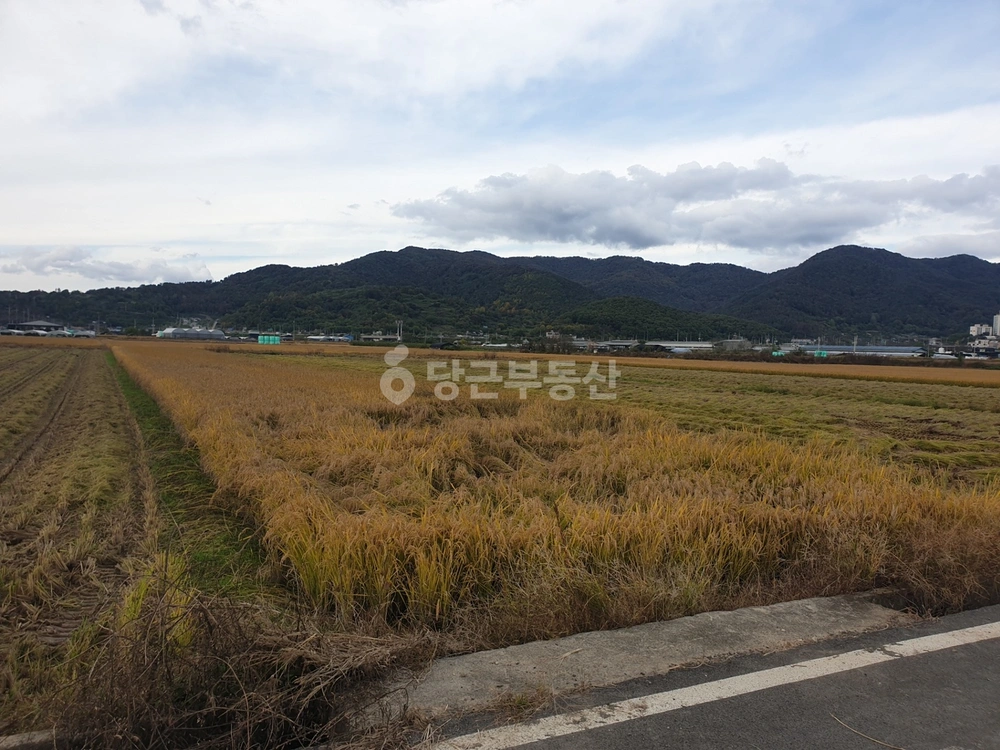 경상남도 밀양시 삼랑진읍 토지 사진 1