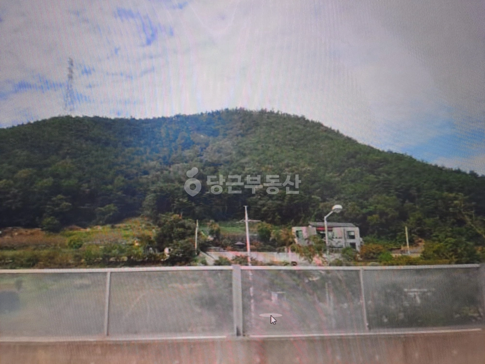 경상북도 포항시 남구 연일읍 토지 사진 1