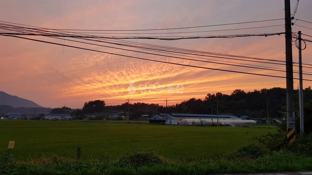 경상남도 함안군 법수면 토지 사진 1