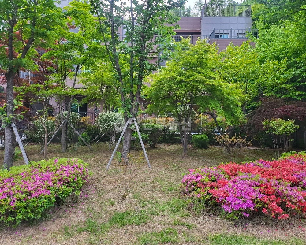 경기도 용인시 기흥구 영덕동 아파트 사진 1
