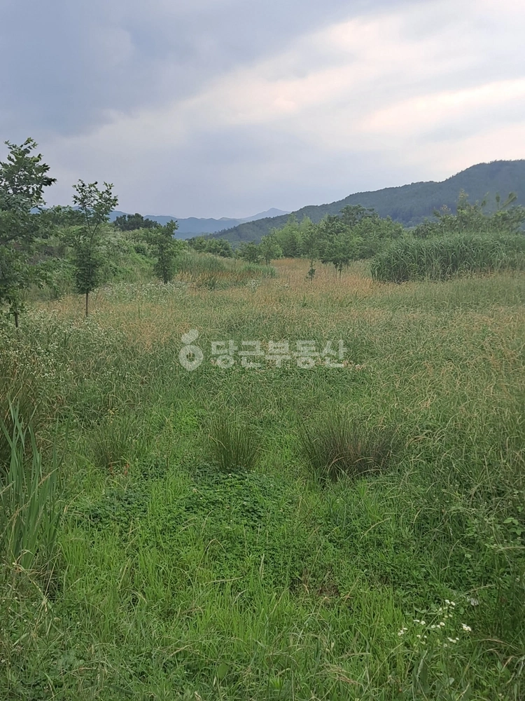 전북특별자치도 진안군 마령면 토지 사진 1