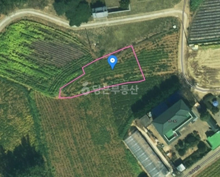 충청남도 서산시 대산읍 토지 사진 1
