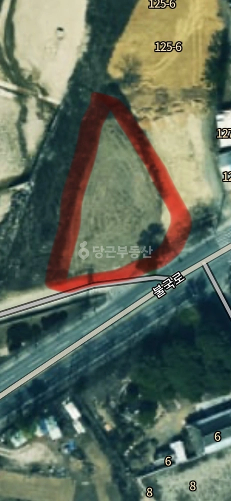 경상북도 경주시 마동 토지 사진 1