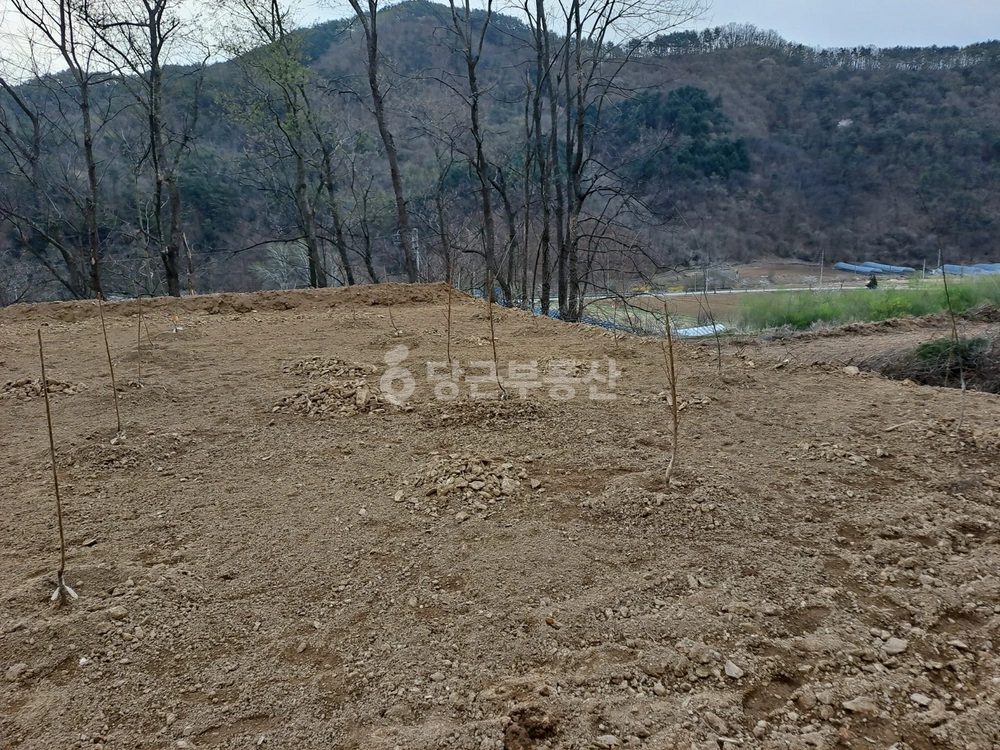강원특별자치도 화천군 하남면 토지 사진 1