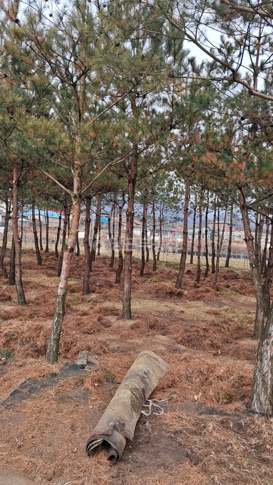 경상북도 문경시 문경읍 토지 사진 1
