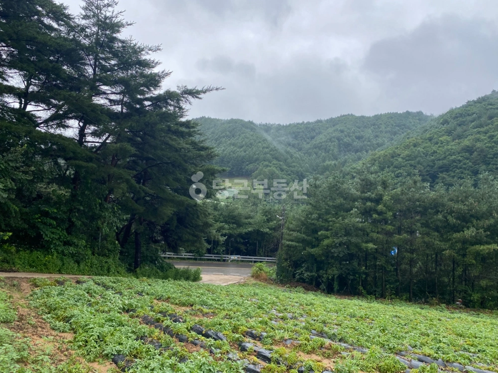 강원특별자치도 평창군 용평면 토지 사진 1