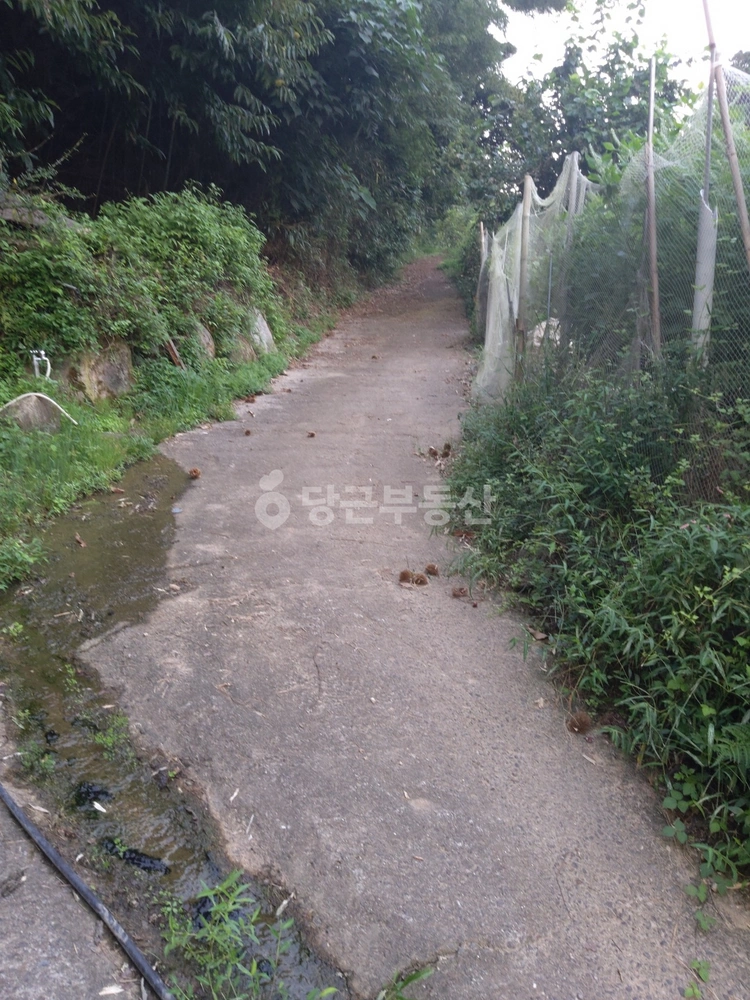울산광역시 울주군 상북면 토지 사진 1