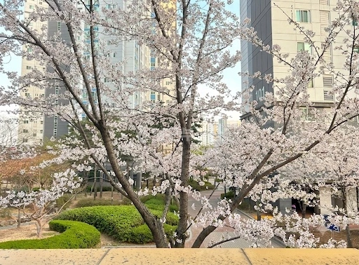 대구광역시 중구 남산동 아파트 사진 1
