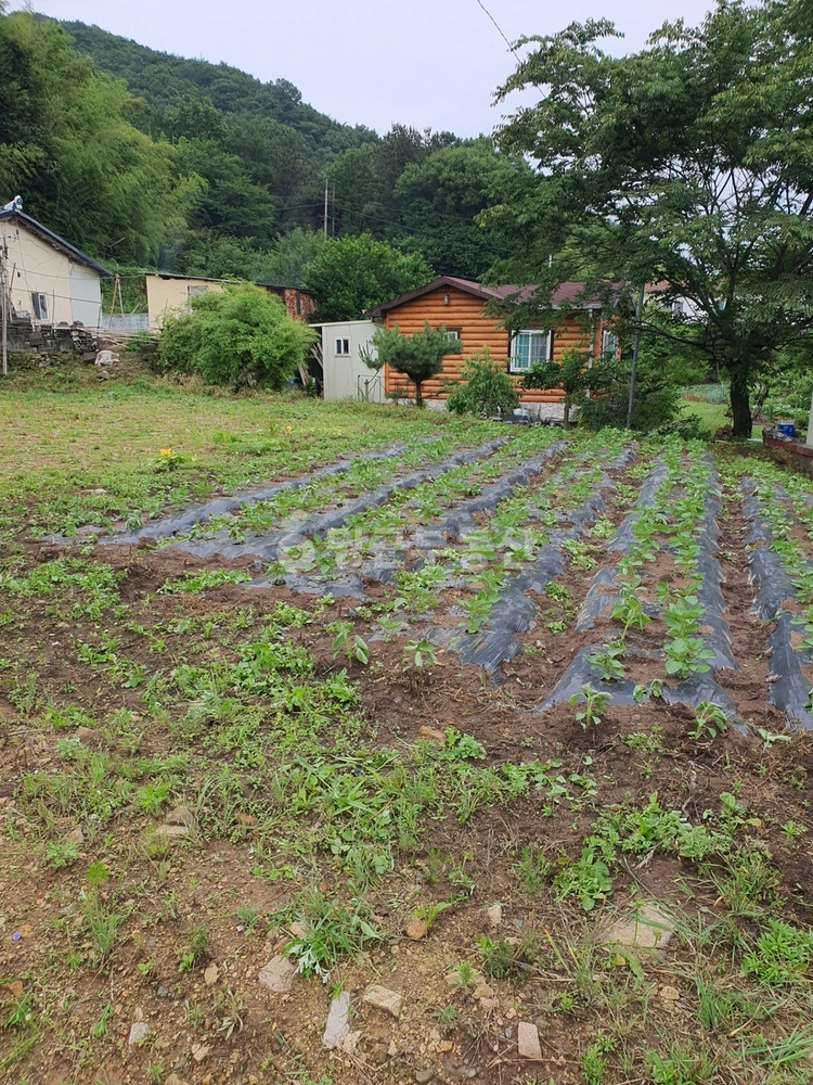 울산광역시 울주군 두서면 토지 사진 1