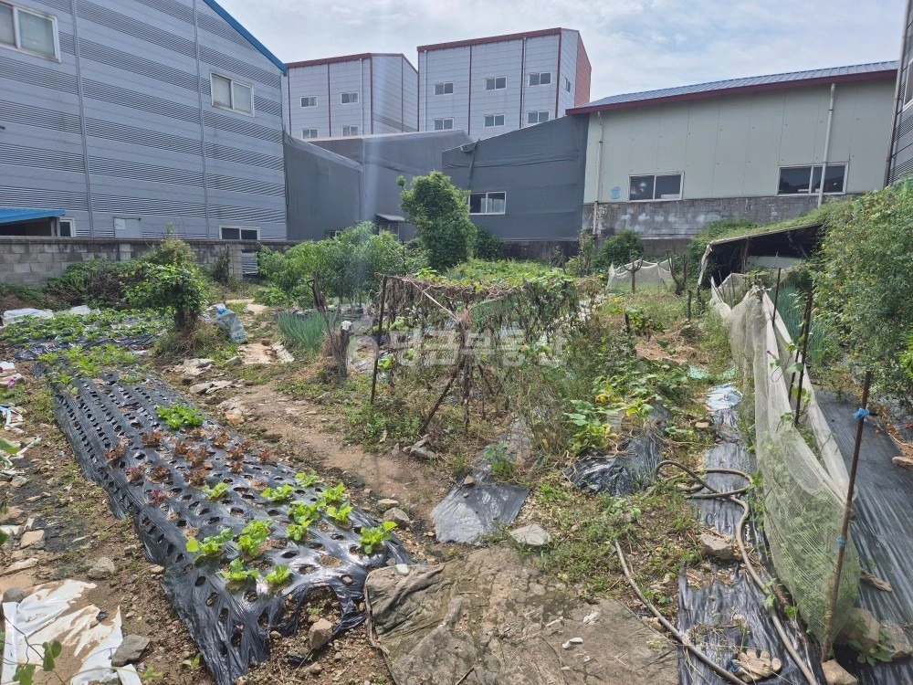 인천광역시 검단구 오류동 토지 사진 1
