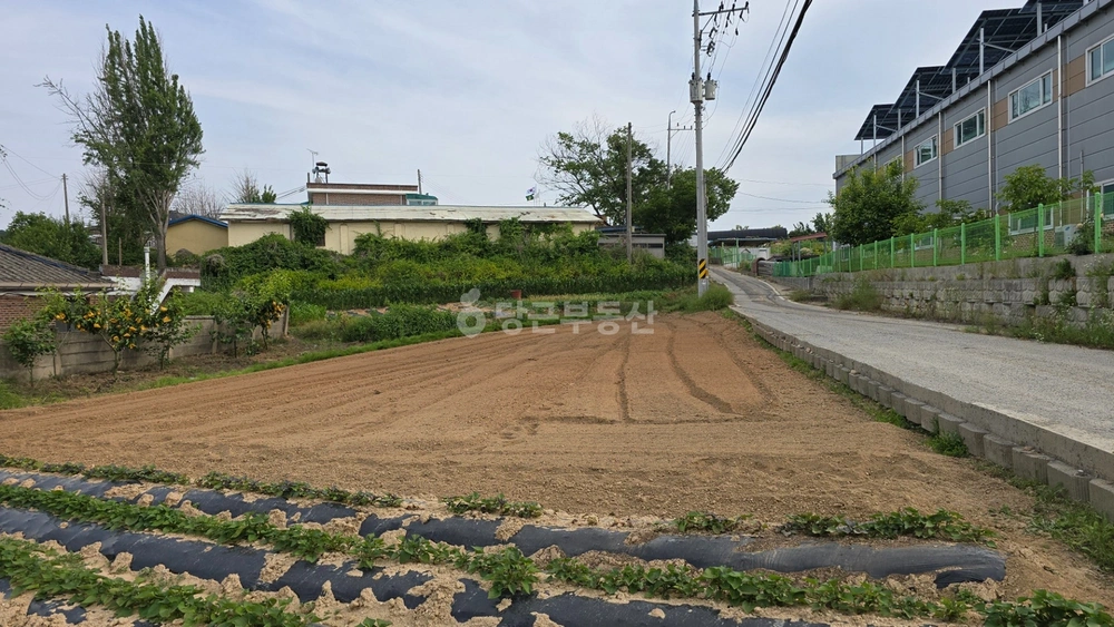 충청남도 아산시 둔포면 토지 사진 1