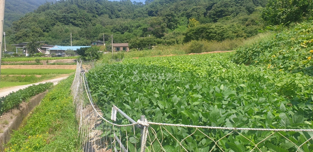 강원특별자치도 횡성군 공근면 토지 사진 1