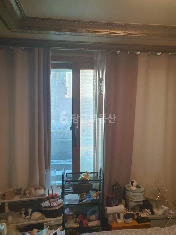 경기도 안산시 상록구 월피동 빌라(투룸 이상) 사진 1