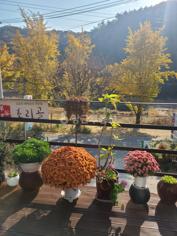경기도 파주시 법원읍 상가 사진 1