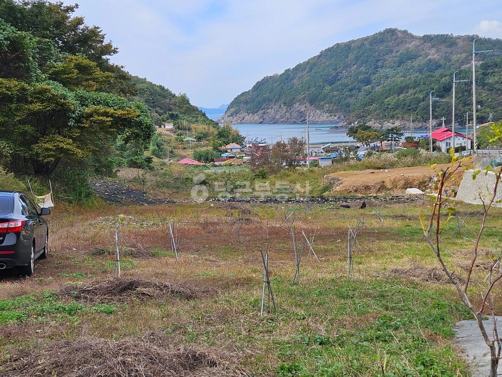 경상남도 통영시 사량면 토지 사진 1