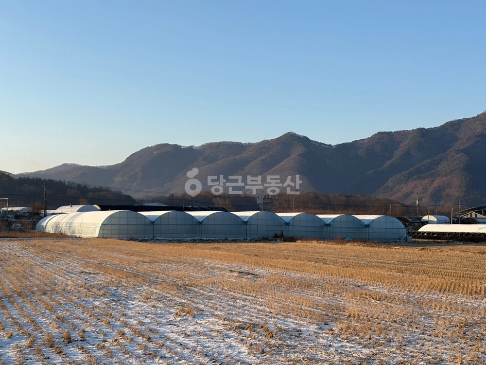 충청북도 옥천군 이원면 토지 사진 1