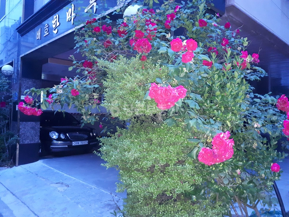 울산광역시 동구 방어동 빌라(투룸 이상) 사진 1