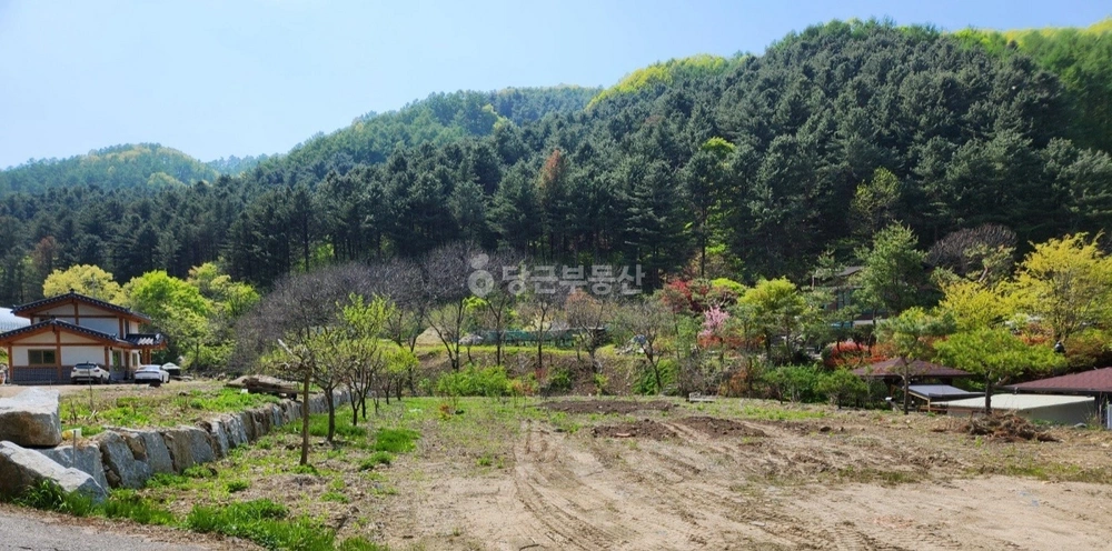경기도 양평군 청운면 토지 사진 1