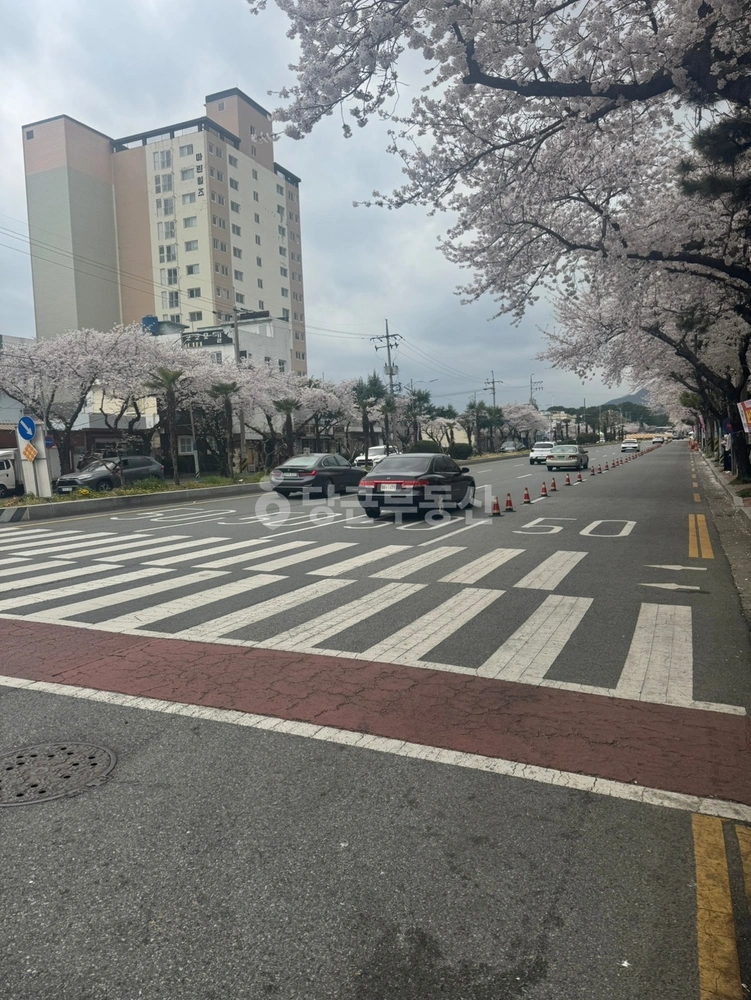 경상남도 창원시 진해구 여좌동 상가 사진 1