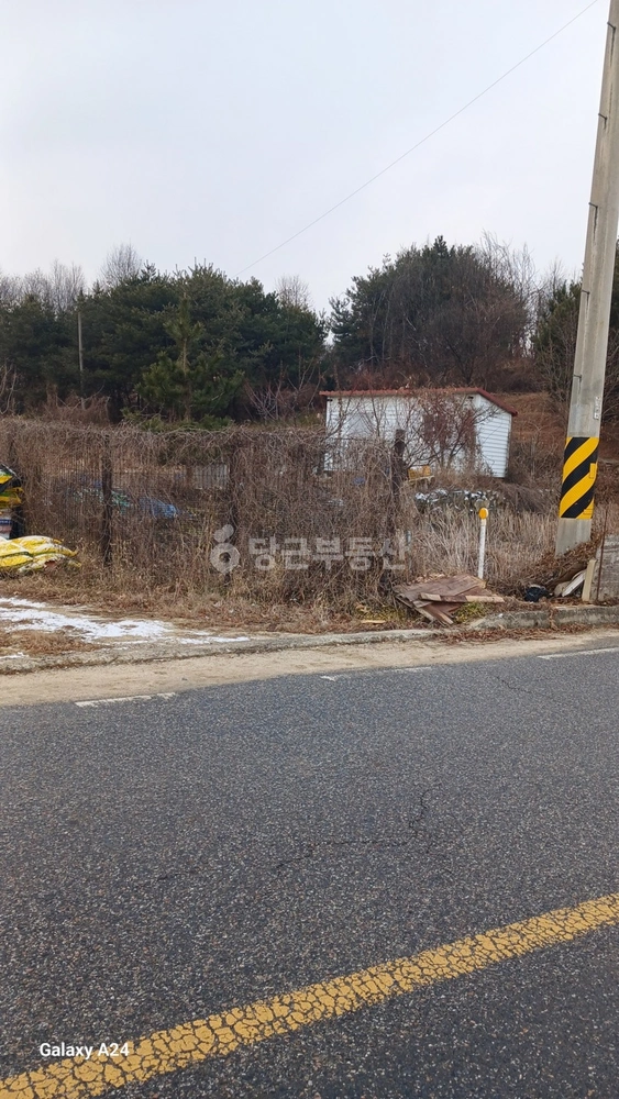 충청북도 옥천군 옥천읍 토지 사진 1