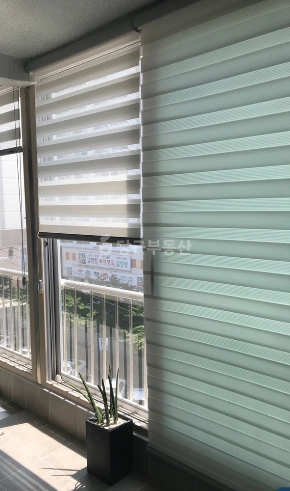 강원특별자치도 동해시 천곡동 빌라(투룸 이상) 사진 1
