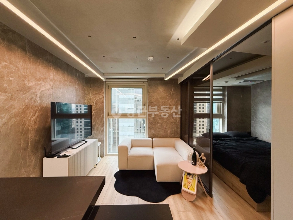 서울특별시 강남구 역삼동 오피스텔 사진 1