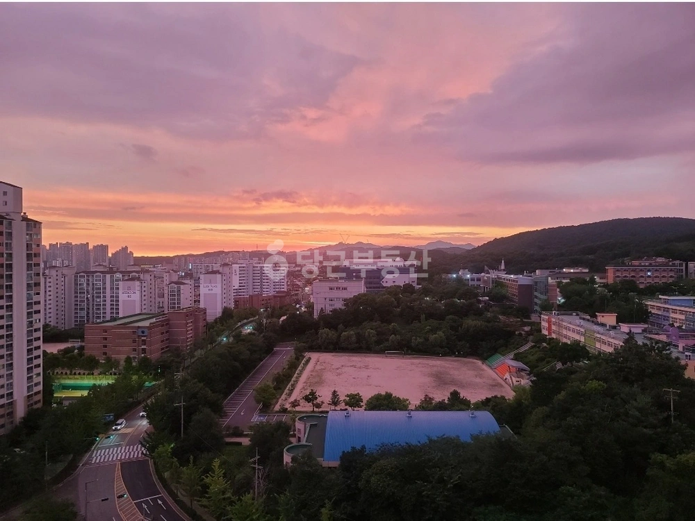 경기도 수원시 장안구 조원동 아파트 사진 1