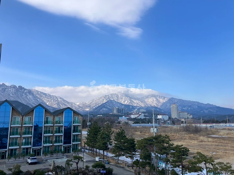 강원특별자치도 속초시 노학동 빌라(투룸 이상) 사진 1