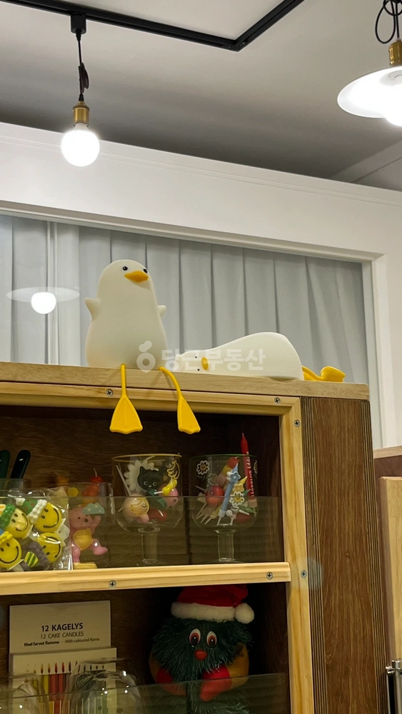강원특별자치도 홍천군 홍천읍 상가 사진 1