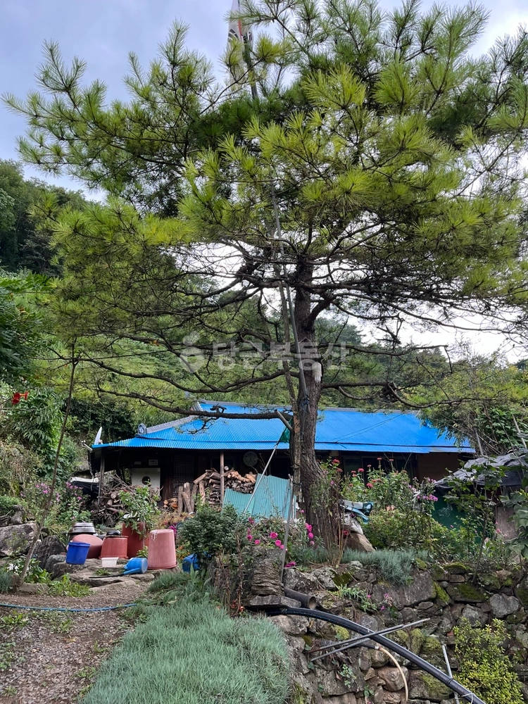 충청북도 단양군 대강면 단독/전원주택 사진 1
