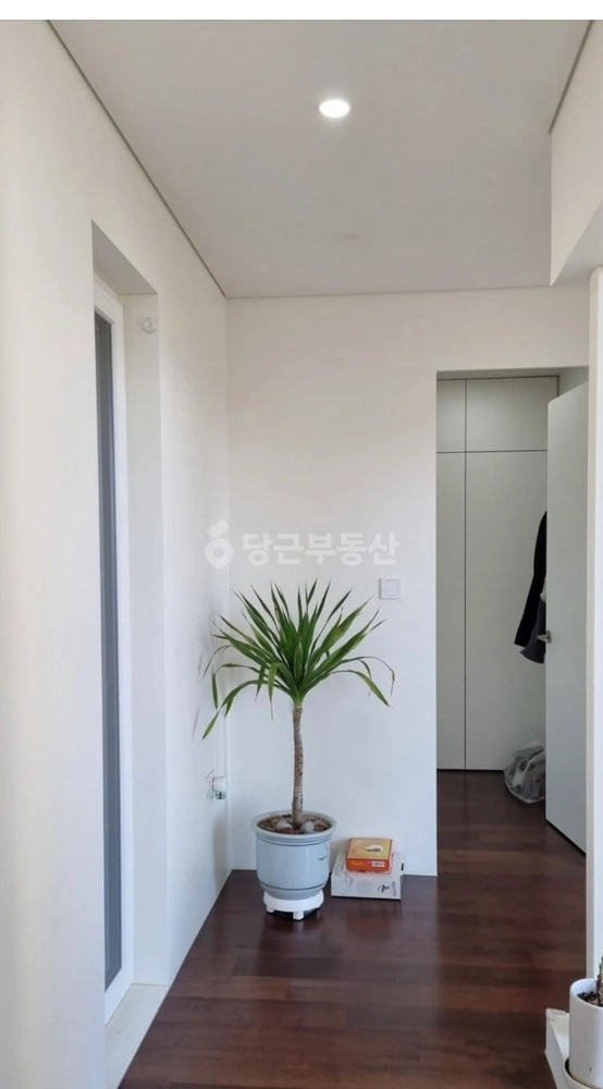 경기도 용인시 수지구 신봉동 단독/전원주택 사진 1