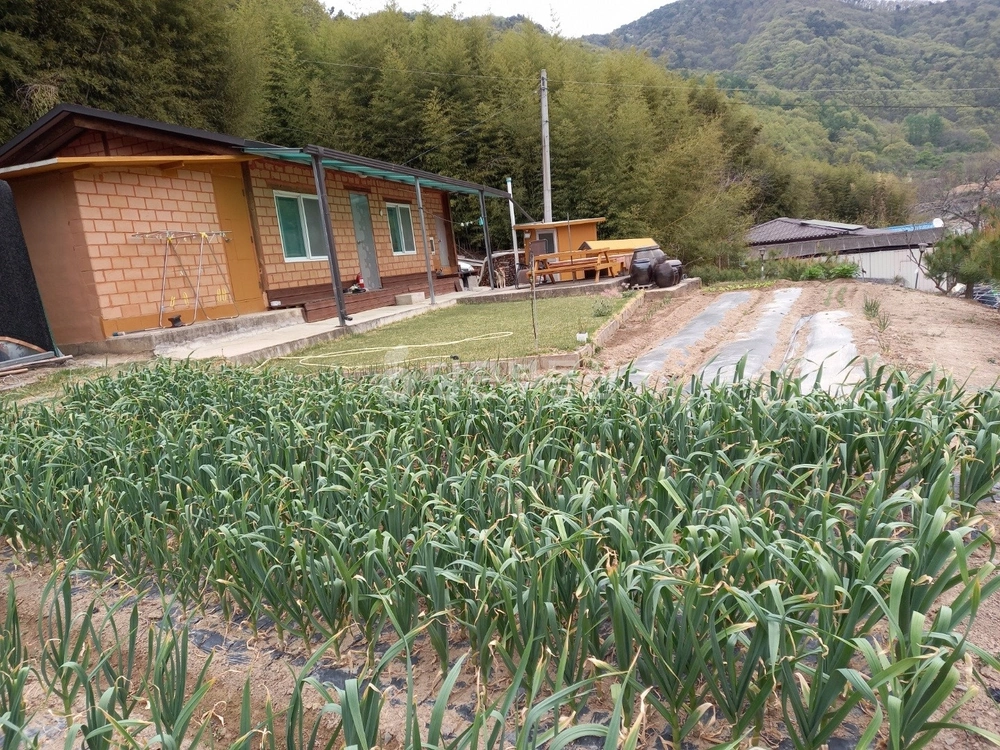 경상북도 청도군 운문면 단독/전원주택 사진 1