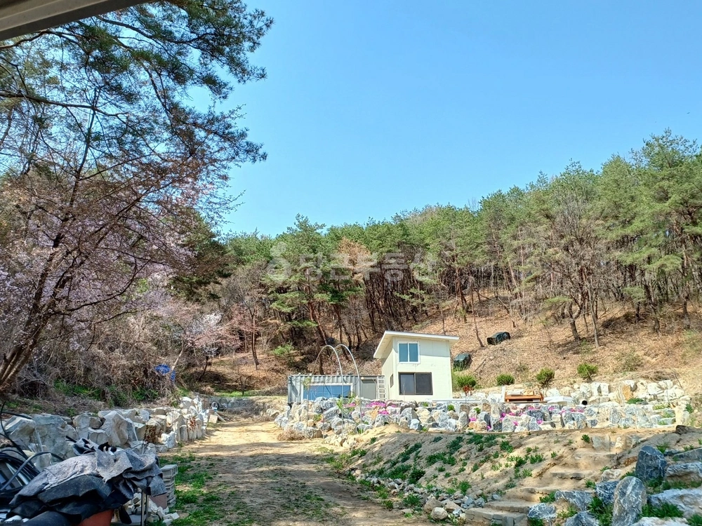 경상북도 안동시 녹전면 토지 사진 1