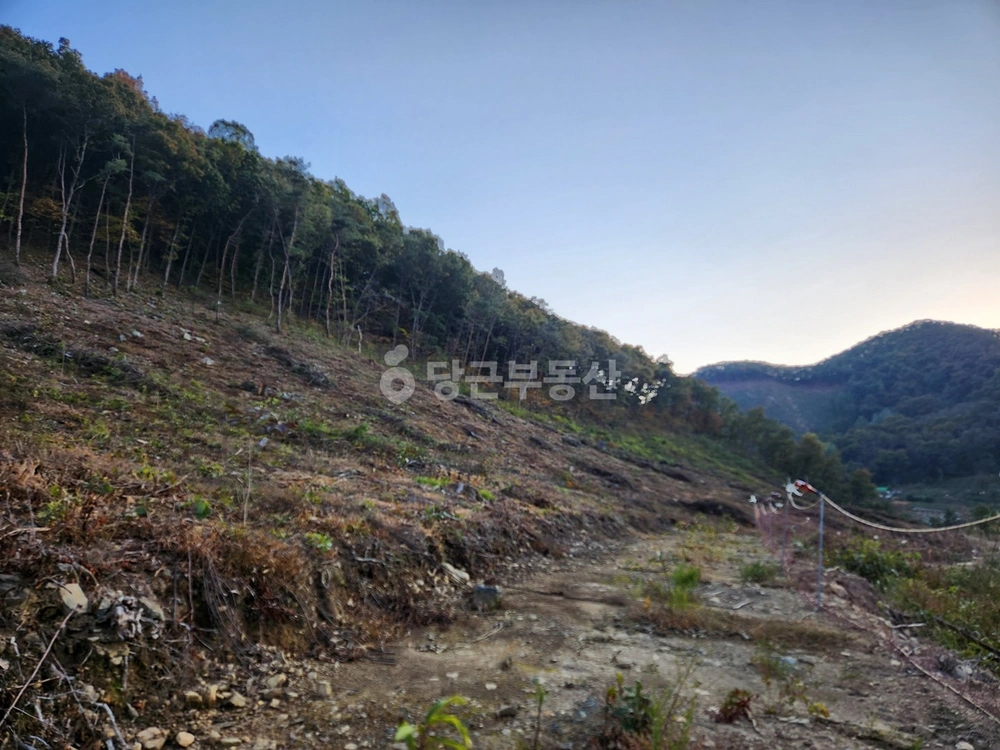 충청북도 옥천군 청성면 토지 사진 1