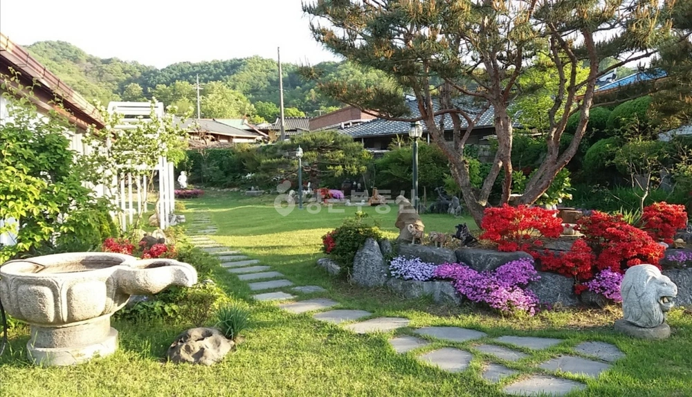 경상북도 김천시 아포읍 단독/전원주택 사진 1