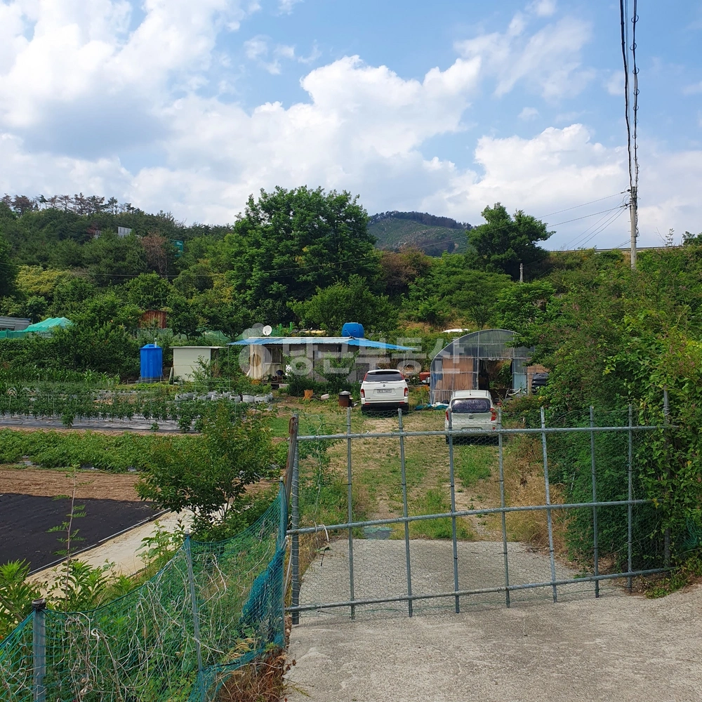 경상북도 포항시 북구 기계면 토지 사진 1