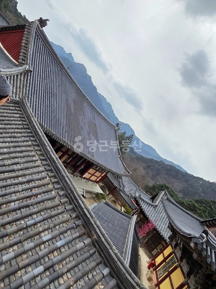 대구광역시 달성군 다사읍 아파트 사진 1