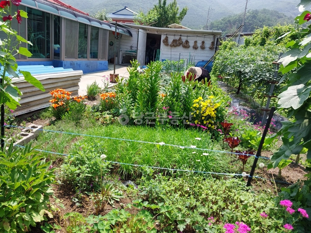 경기도 파주시 파평면 단독/전원주택 사진 1
