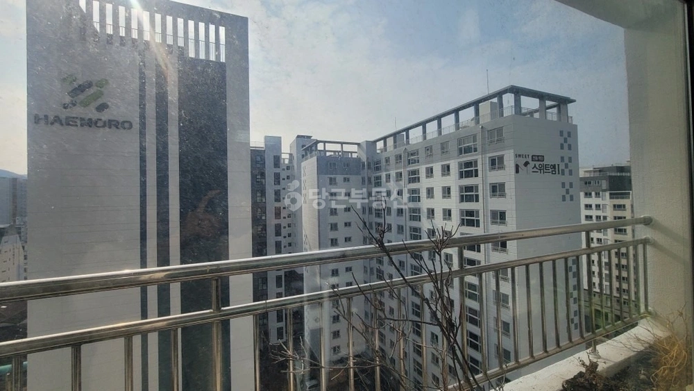 제주특별자치도 제주시 연동 아파트 사진 1