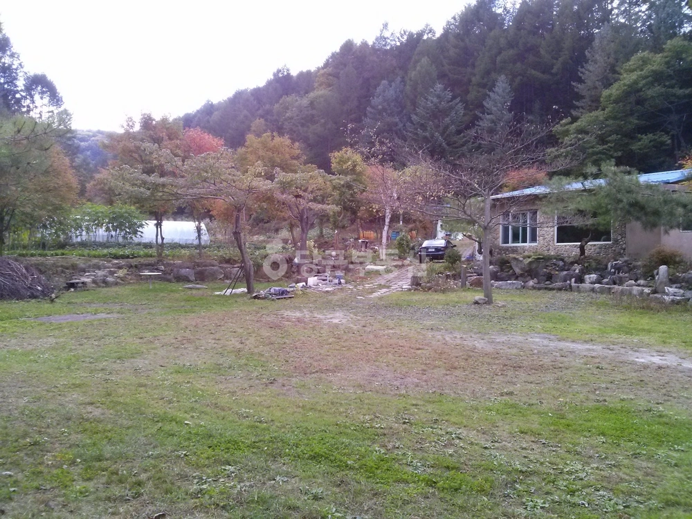 충청북도 제천시 송학면 빌라(투룸 이상) 사진 1