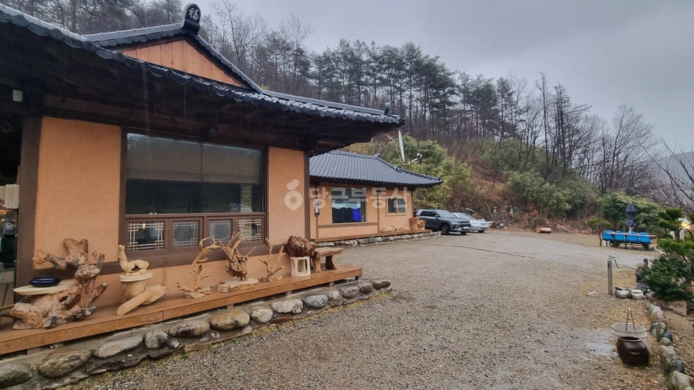 강원특별자치도 양양군 양양읍 상가 사진 1