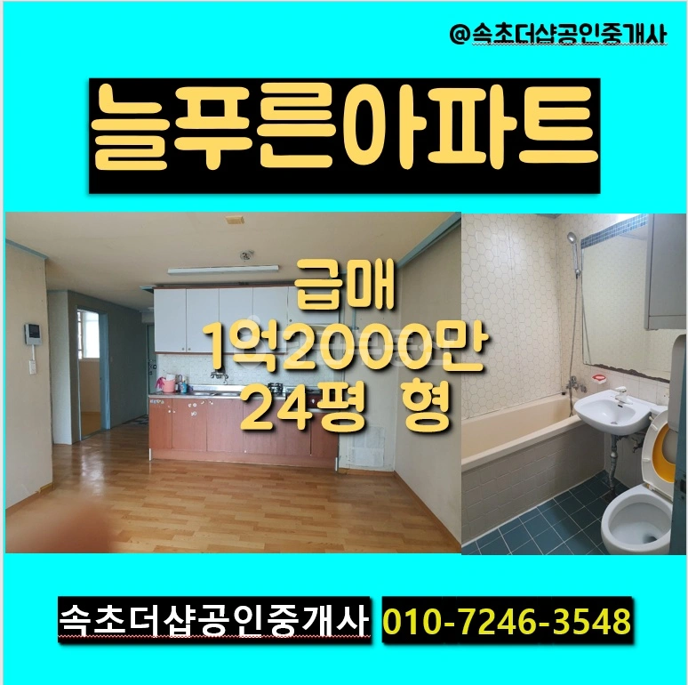 강원특별자치도 속초시 교동 아파트 사진 1